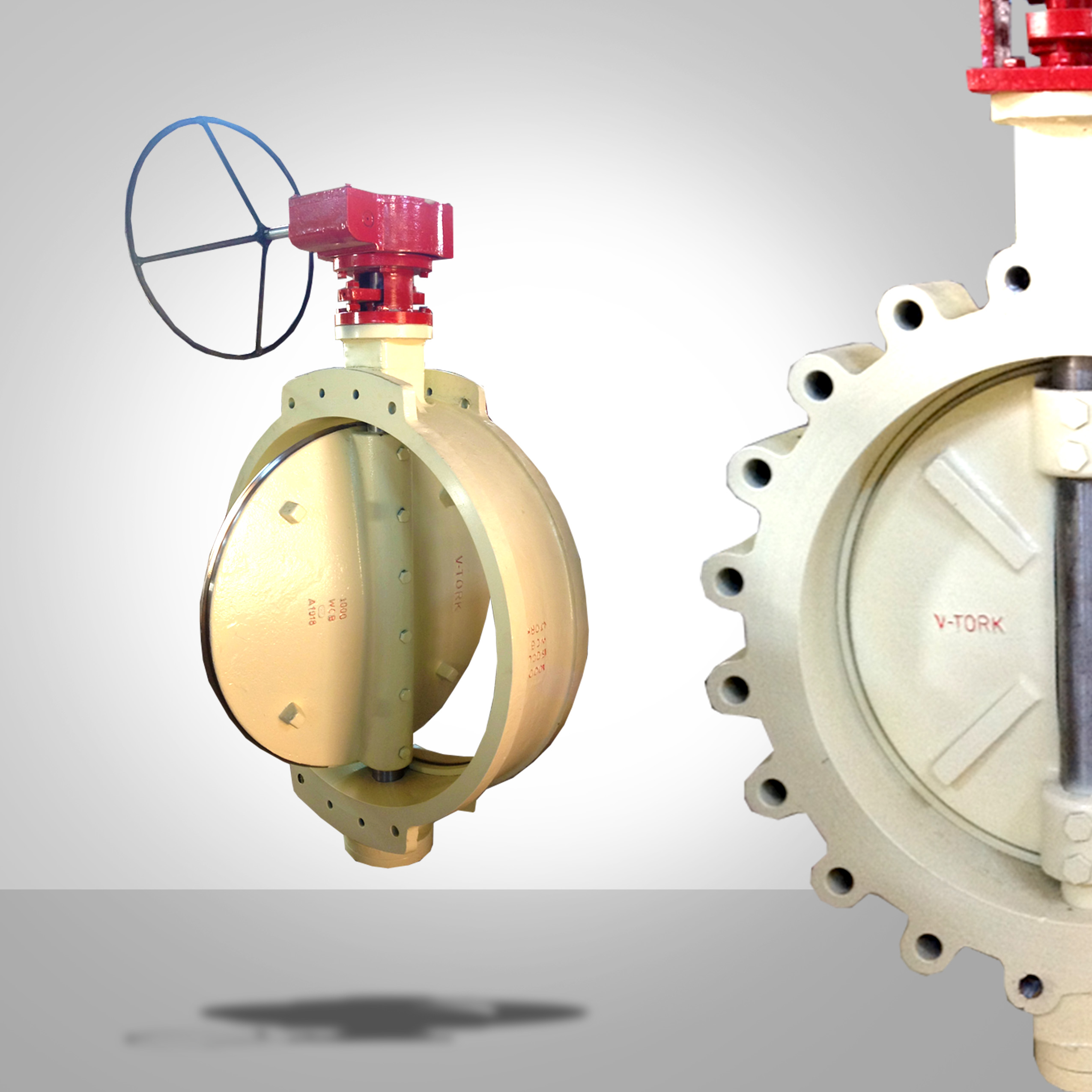 butterfly valve manufacturers in india